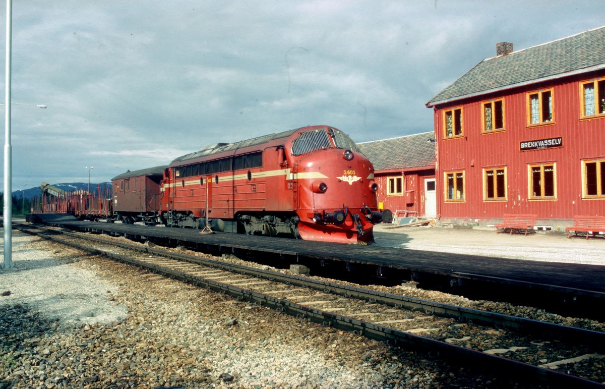 Underveisgodstog 5771 Trondheim - Majavatn i Brekkvasselv med NSB dieselelektrisk lokomotiv Di 3 603 (NOHAB 1957). I Brekkvasselv ble det skiftet ut vogner til Skorovatn gruver.