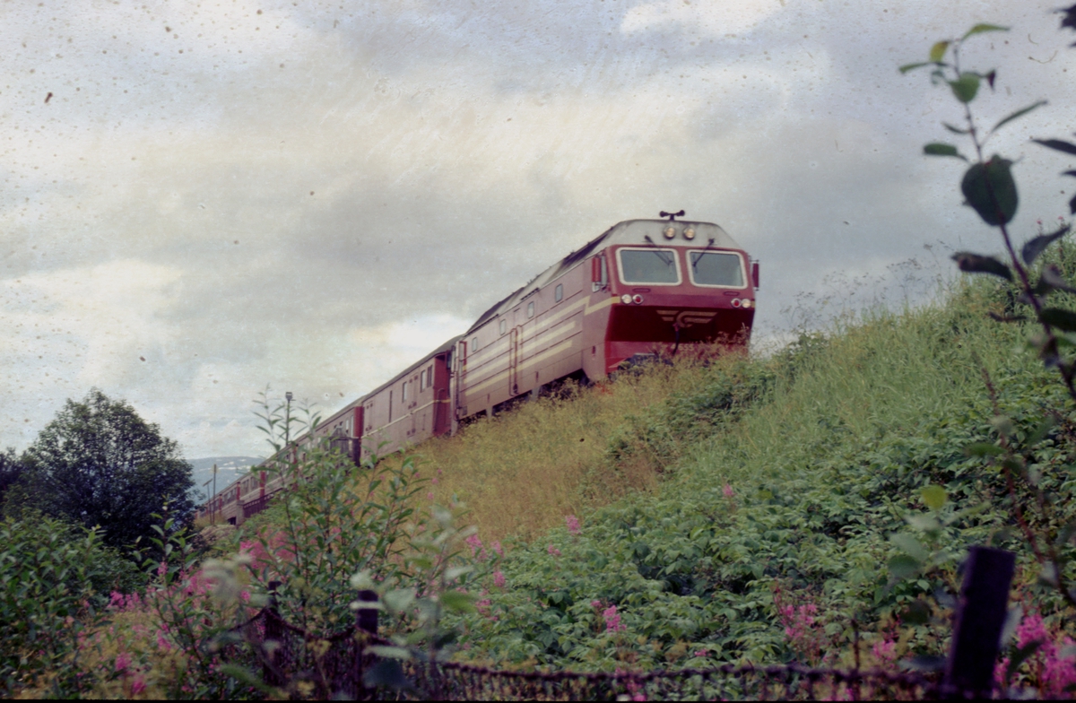 Sørgående dagtog 452 Bodø - Trondheim med NSB dieselelektrisk lokomotiv Di 4 kjører ut fra Mosjøen stasjon.