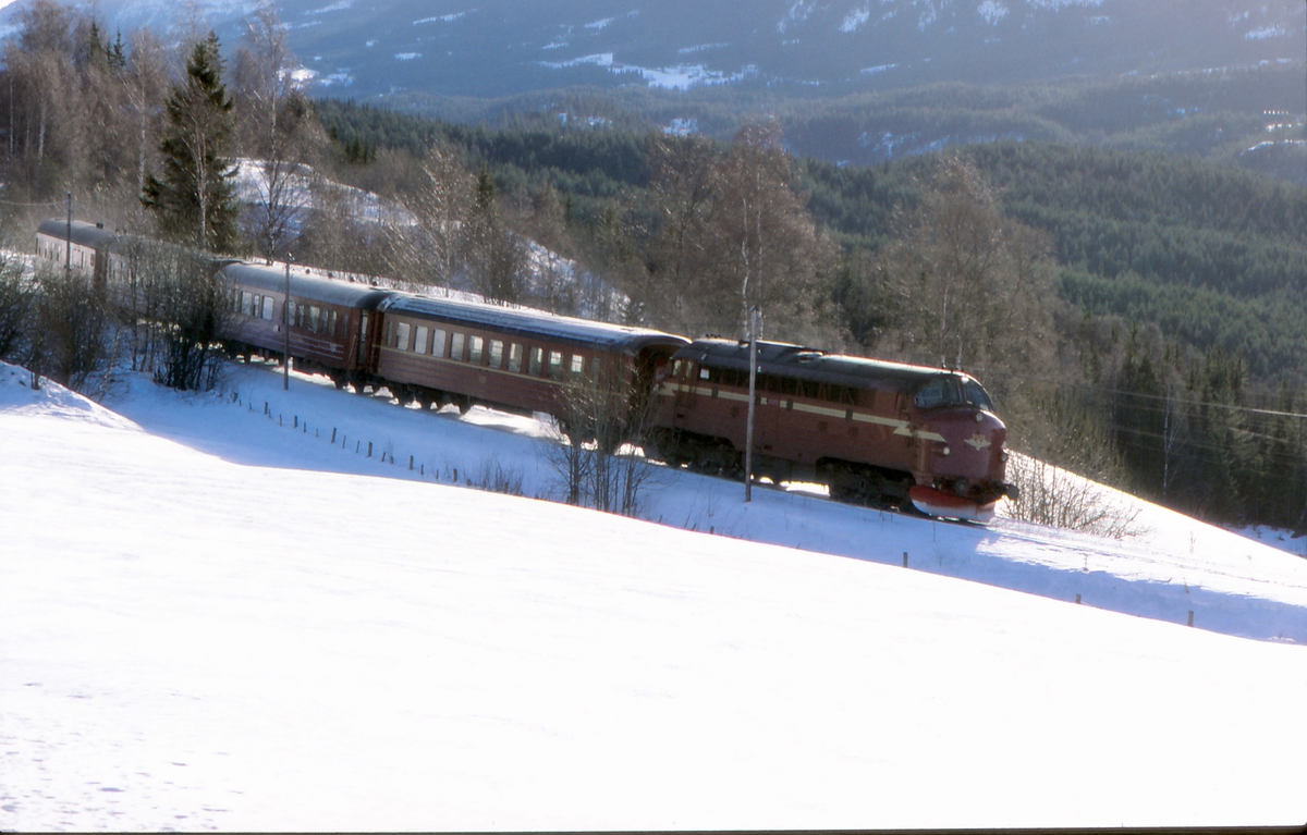 Persontog 281 (Oslo S - Fagernes) i nærheten av Bjørgo. Dieselelektrisk lokomotiv Di 3 633 og personvogner type 3.