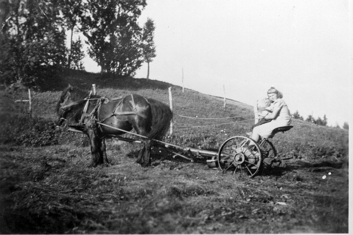 Else-Marie Torstad med hest og slåmaskin.