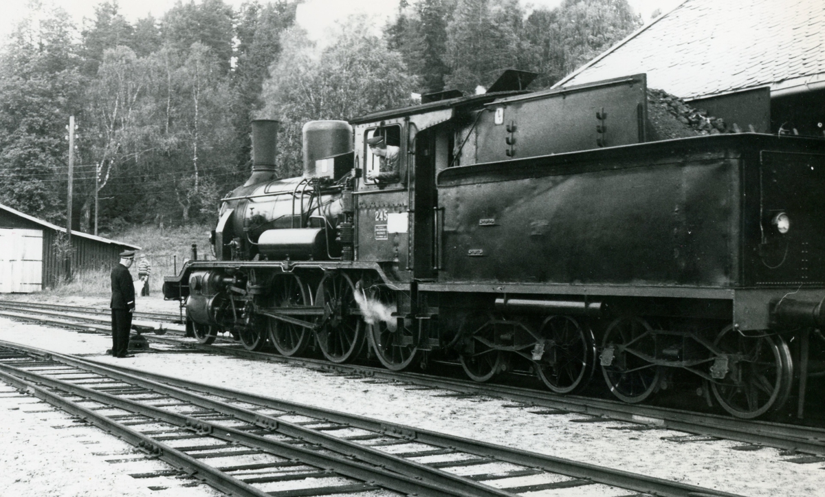 Damplokomotiv type 18c nr. 245 med A/L Hølandsbanens vetarantog på Krøderen stasjon.