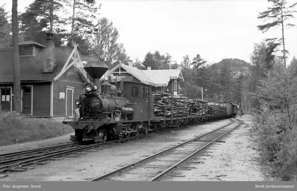 Damplokomotiv nr. 2 med godstog 5662 på Byglandsfjord stasjon