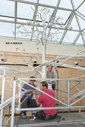 Fra arbeidet med utstillingsprosjektet «Det fantastiske tree