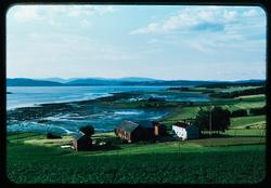 Kulturlandskap ved Alfnesfjærea ved Trondheimsgfjorden.