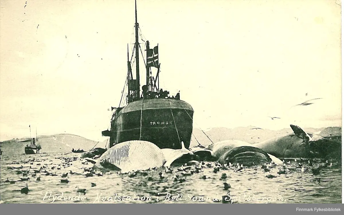 Postkort med motiv av en flytende hvalstasjon i Bell-sundet på Spitsbergen. Postkortet er en nyttårshilsen til Arthur og Kirsten Buck.
