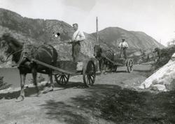 Hester på vegarbeid