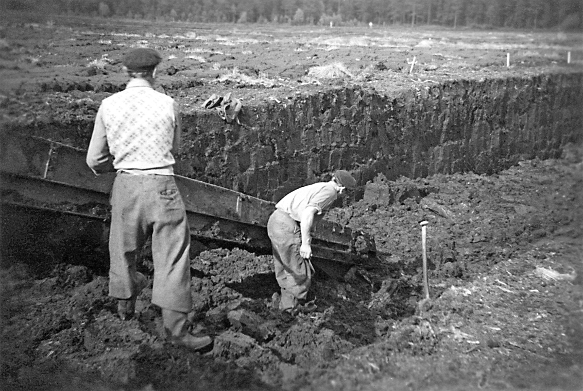 En torvgrav på torvtäkten vid Bolmen (myr, ca två mil från Ljungby) ca 1946.  Där arbetade ca 100 personer sommartid.