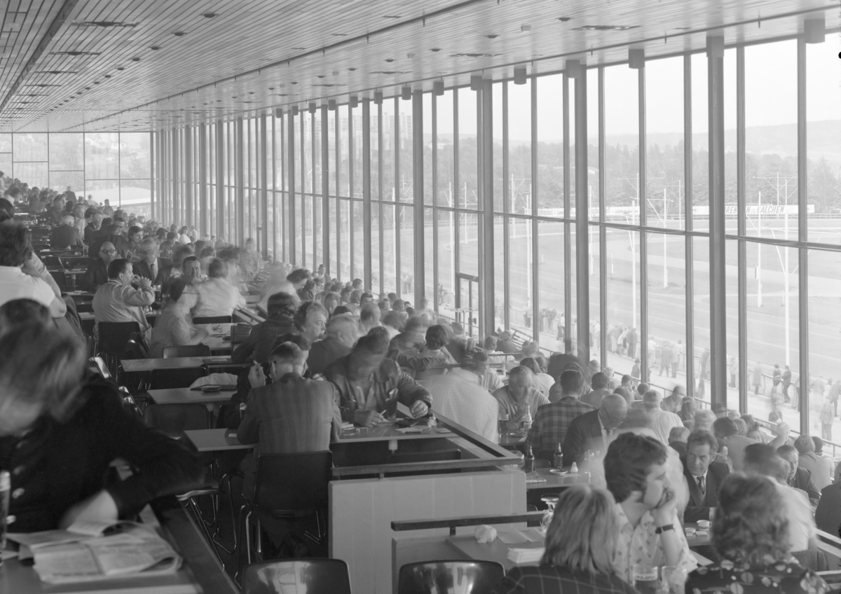 Interiørfoto av publikum og publikumsområdet på Bjerke travbane.