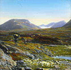 "66 Opover Alles Vagge Opover Allesjokk Dalen