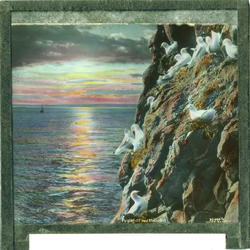 " M7. Fuglefjell med midnatsol. Wilse Eneret."