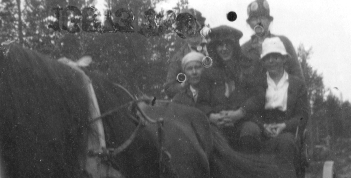 En familie på vei til Russland i 1919. Menn og kvinner sitter i en vogn trukket av en hest.