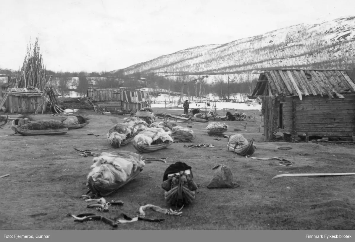 Mange fullastet sleder ved Levajok gieddi i 1948. Vårflyttinga til familien Guttorm fra Karasjok er i gang.