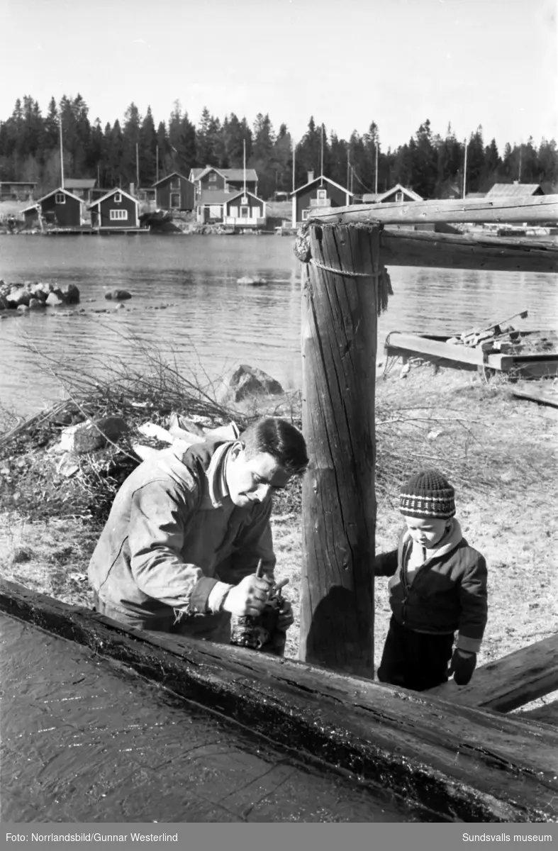 Vårreportage från Spikarna, Alnö. En man och en liten pojke tjärar båten inför sjösättningen.