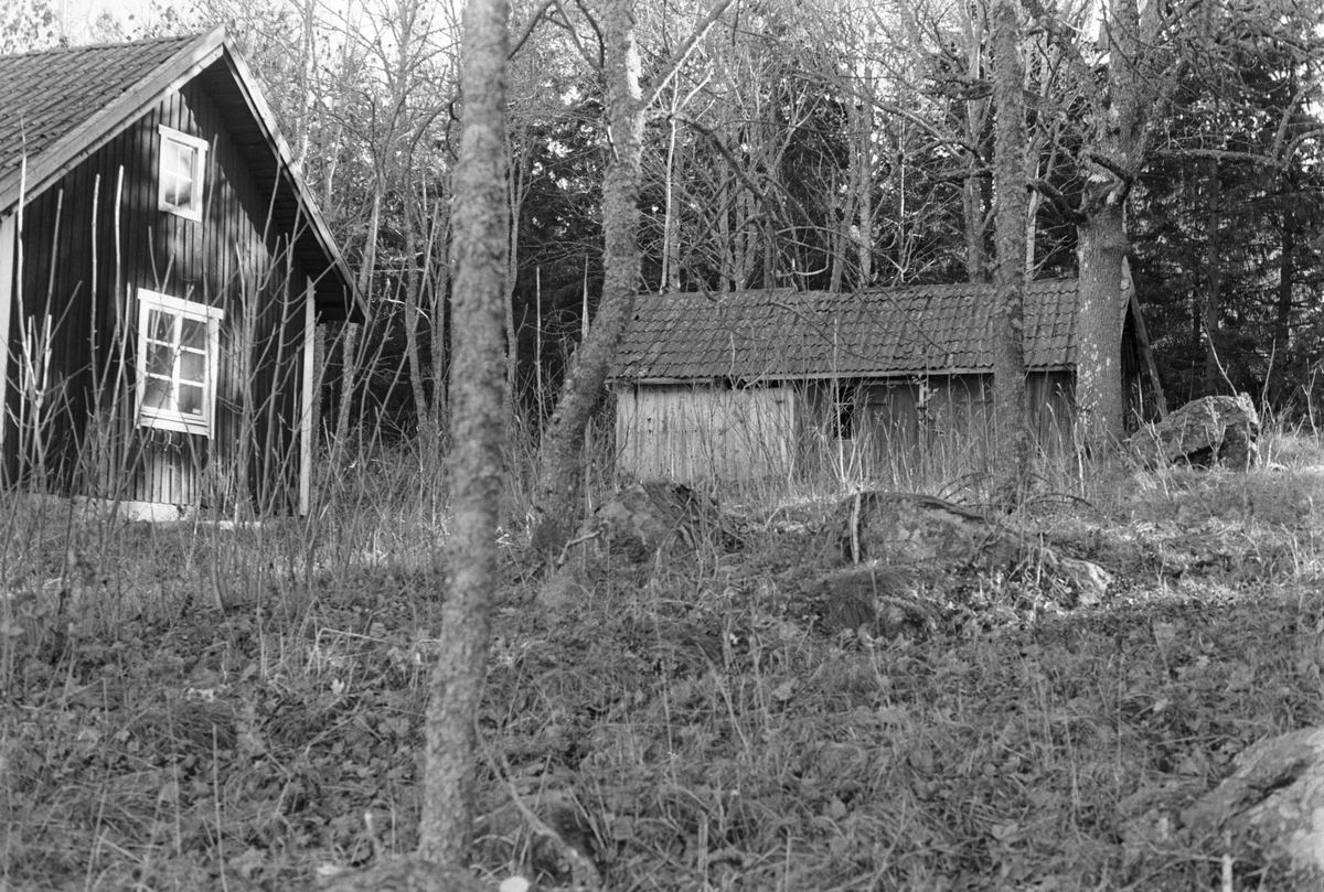 Bostadshus och uthus, Tibble-Vrå 4:1, Lundbo, Skogs-Tibble socken, Uppland 1985