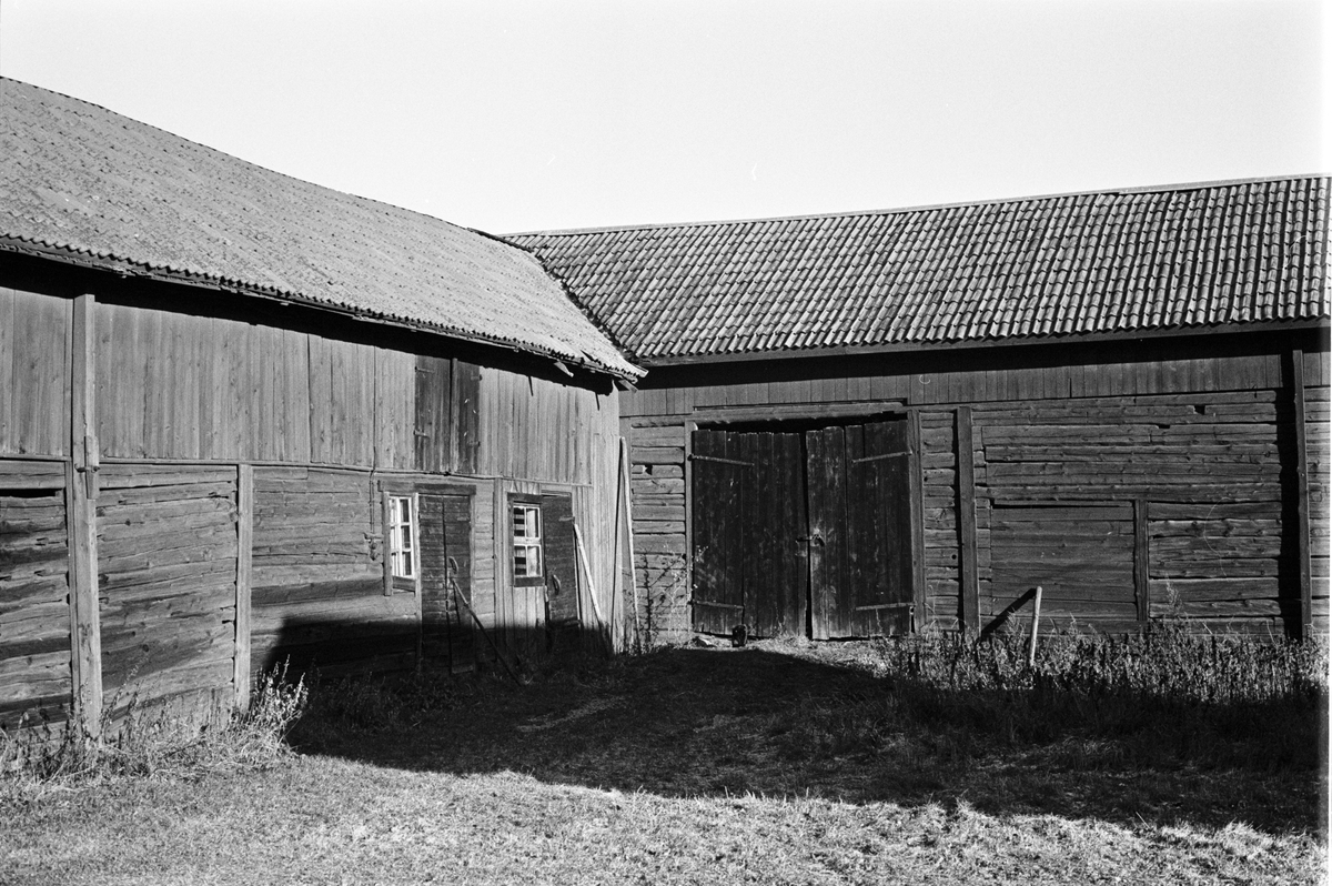 Stall och loge, Tjälinge 2:2, Skogs-Tibble socken, Uppland 1985