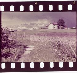 Fra Sjøbadet, Levanger.
