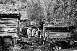 Stampe fra Jøssvoll, Stordalen, Sunnmøre, før flytting til N