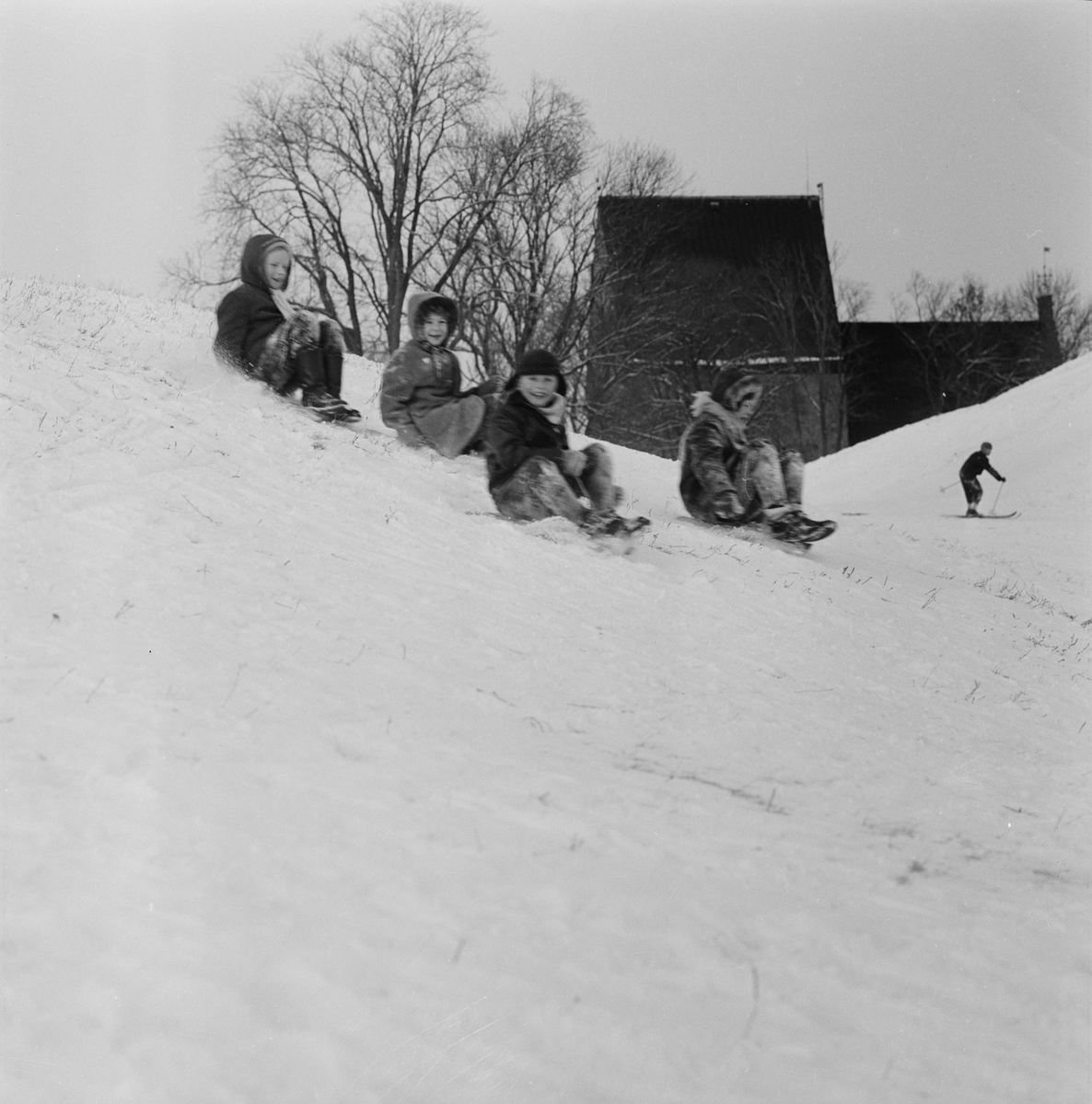 Februarilov - barn vid Gamla Uppsala högar, Gamla Uppsala 1958