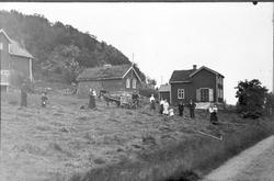 Slåttonn på gården Aspevold på Grytøy. Gårdsbygninger i bakg