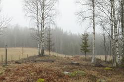 GRAVFELT, KLOKKERUDTOPPEN