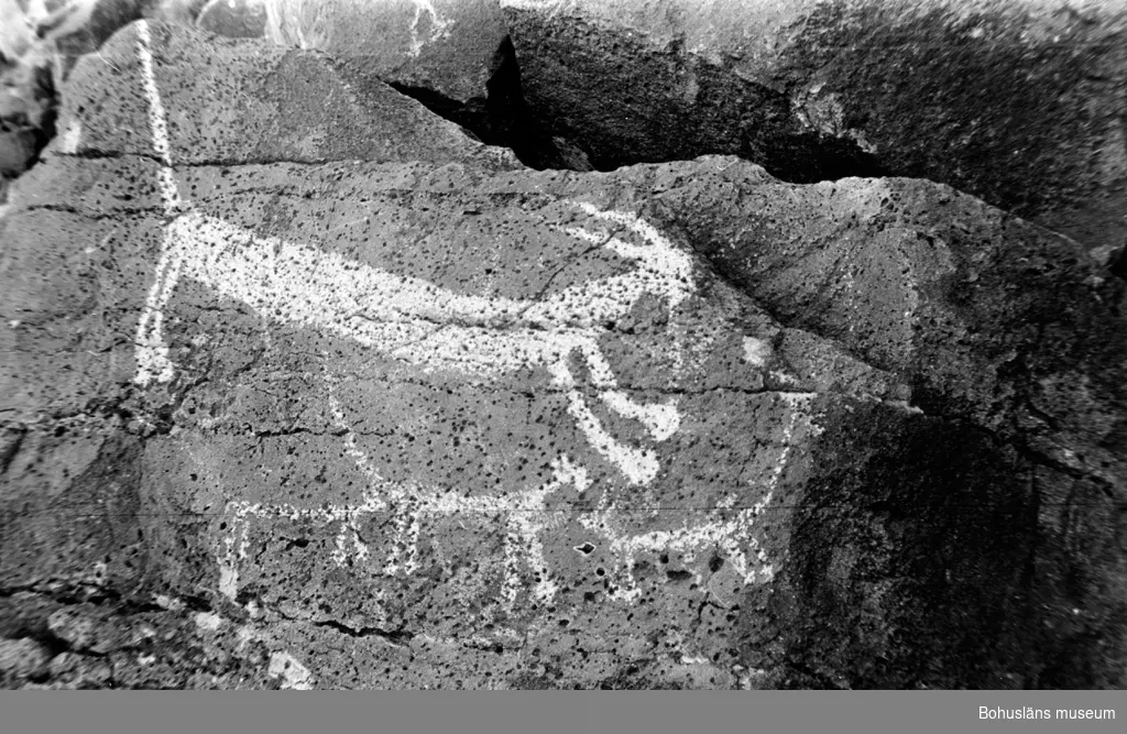 Ristningar vid Rio Petroglyph Canyon, Kalifornien