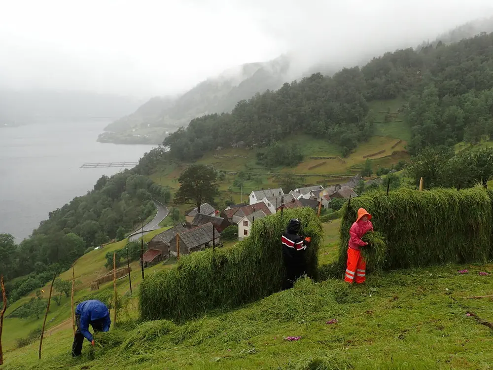 Hesjing på garden Havrå, Osterøy