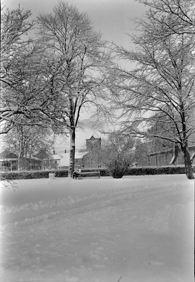 Vinterbilde fra Domkirkegården