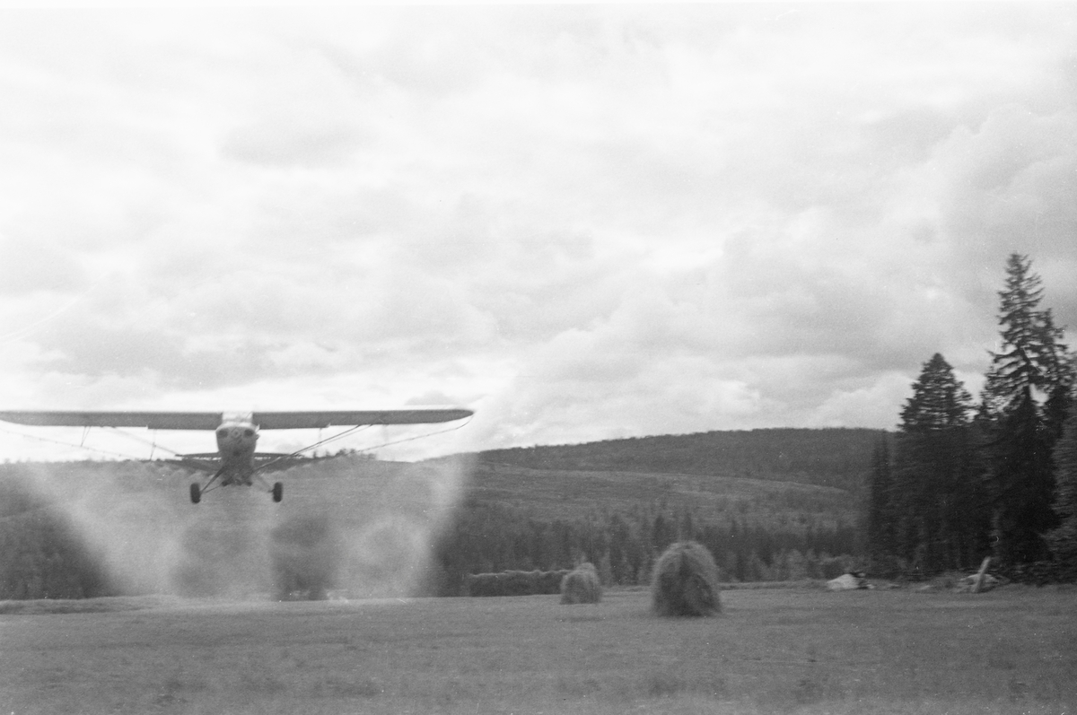 Befaring til Umeå. Fly, 1953. 