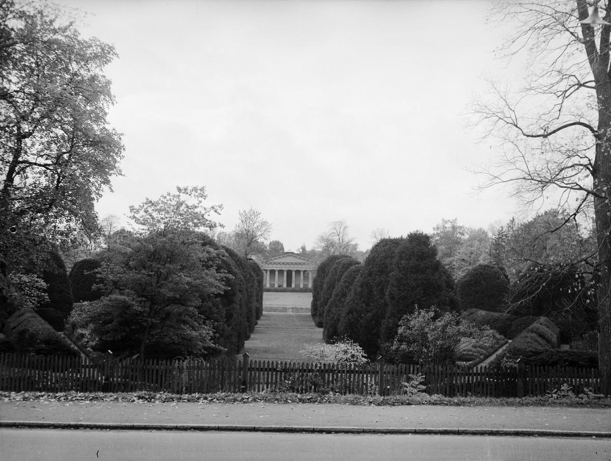 Botaniska trädgården, vacker bild från slottsterasserna, Uppsala, juni 1956