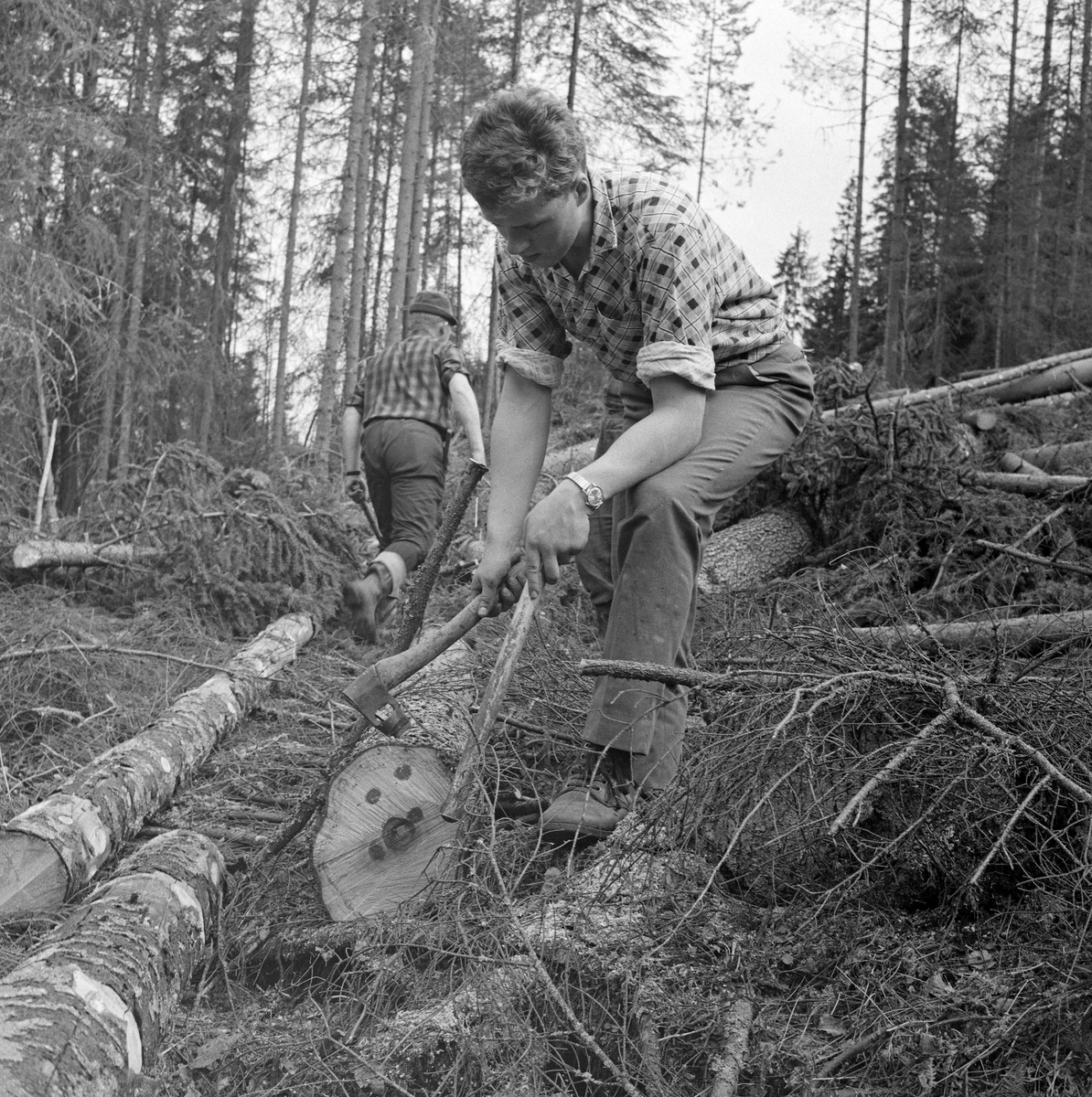 Tømmermerking ved stubben hos Erling Bjerknes. Darbu, Vestfossen, Øvre Eiker, Buskerud. Tømmermerkerne er Borgar Stenseth og Jens Sveaas.