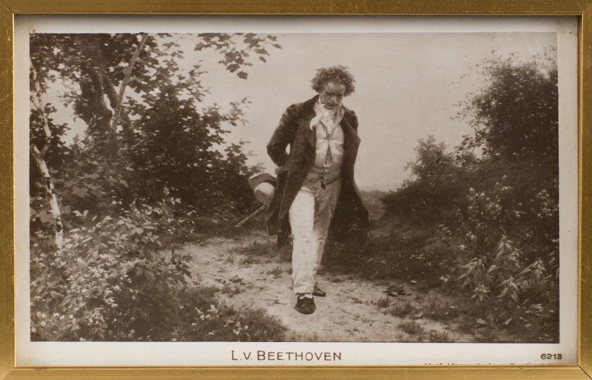 En vandrende Beethoven i natur.