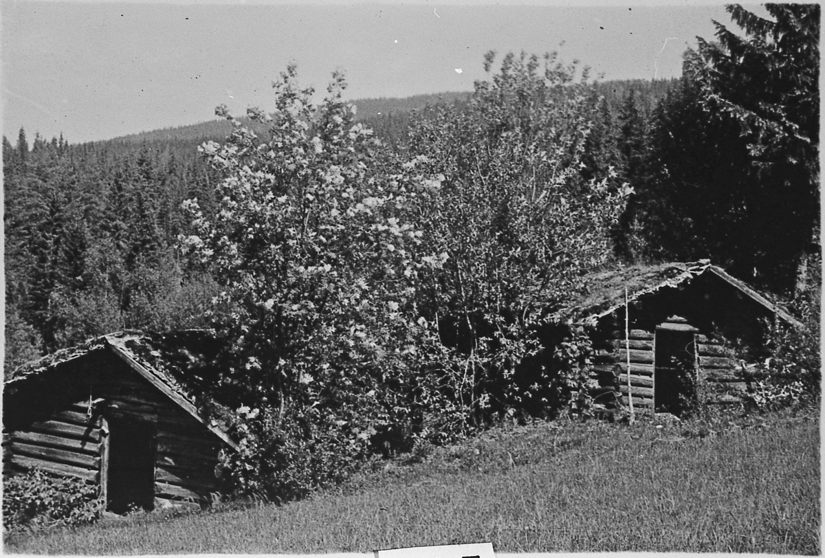 Bebyggelse ved Kanelessetra, 1947.
