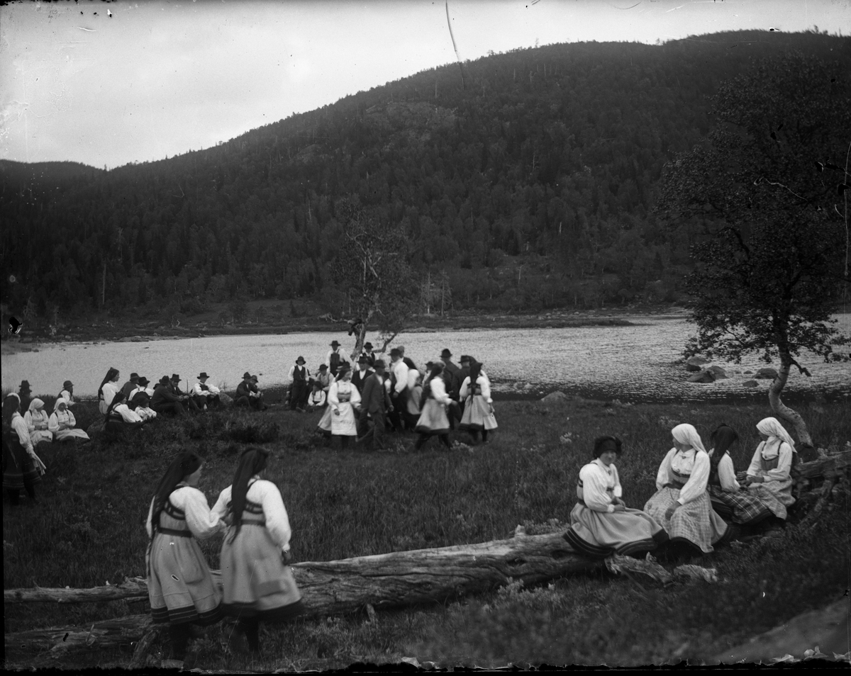 Bildet viser runddans med felespiller som underholder. Folk i folkedrakt fra Setesdal.

Fotosamlingen etter Olav Tarjeison Midtgarden Metveit (1889-1974), Fyresdal. Senere (1936) kalte han seg Olav Geitestad.