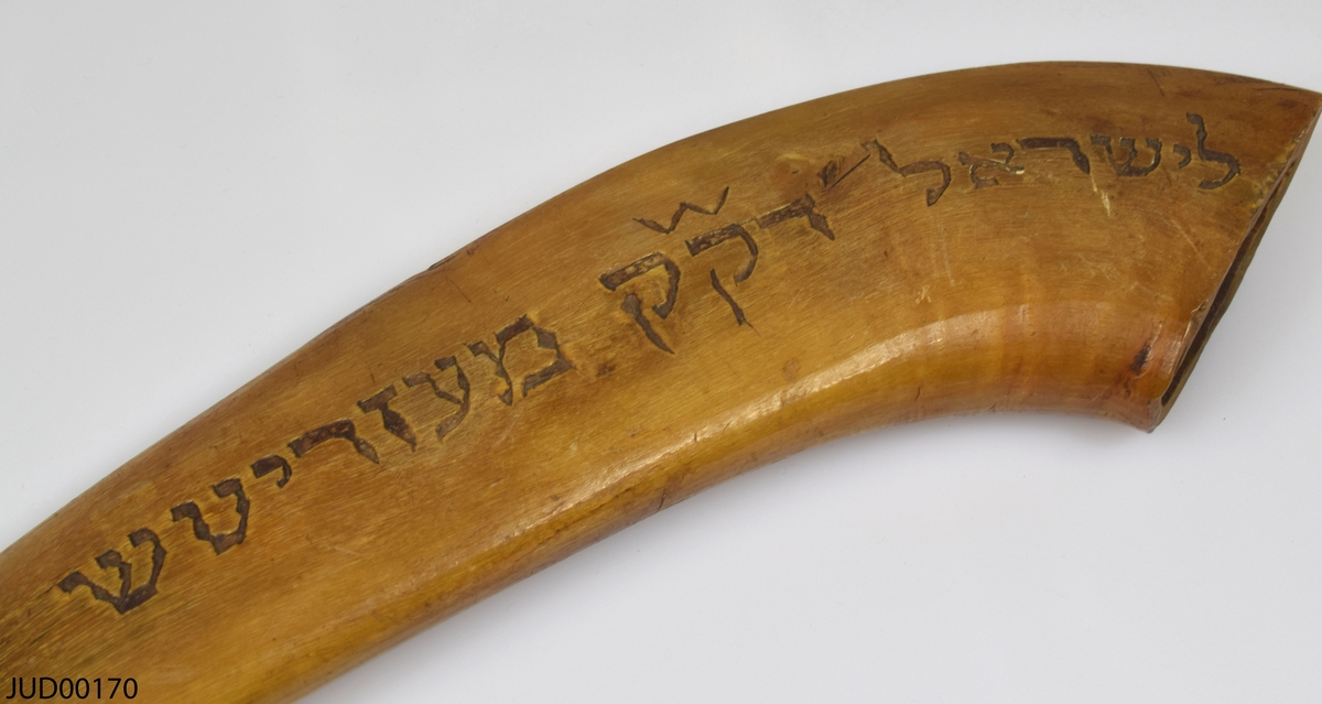Horn, som kallas shofar, som används för att blåsa i vid särskilda högtider och cermonier.  Dekorerad på ena sidan, i den tjockare änden, med hebreisk text. Sekundär skrift skrivet med bläck på andra sidan, även den i den tjockare änden, i form av årtalet 1652.