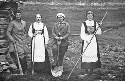 Fire kvinner, bunad, rive, hakke og spade