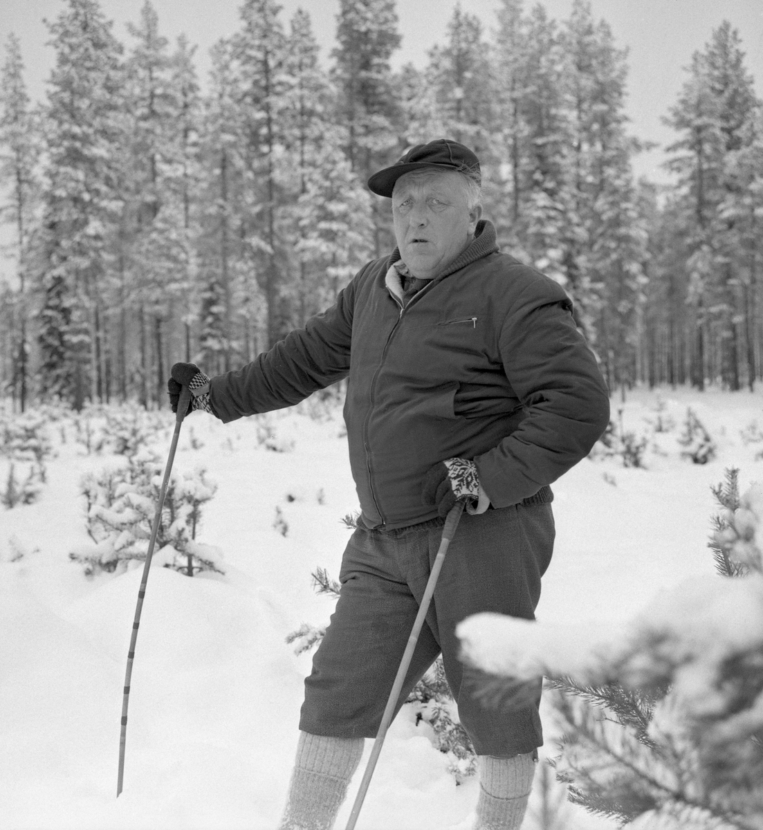 Skogbestyreren i Trysil kommuneskoger, Jostein Bjørnersen (1916-1998), fotografert under en skitur i Trysil-skogene, der han forvaltet kommunens eiendommer. Jostein Bjørnersen ble født i et skogsarbeiderhjem i Stor-Elvdal. Likevel greide han å skaffe seg utdanning. Bjørnersen avsluttet sine studier ved skogbrukslinja på Norges landbrukshøgskole på Ås i Akershus i 1946. Etter avlagt eksamen var ble han herredsskogmester i Alvdal og Folldal, samt skogbrukslærer ved Storsteigen landbruksskole fra 1947 til 1954. Deretter fikk Bjørnersen tilbud om herresskogmesterposten i hjembygda, men like etterpå bød det seg muligheter for en lederstilling i Trysil kommuneskoger. Dermed ble det Trysil for den unge forstkandidaten. Bjørnersen hadde gode kontakter i sosialdemokratiet, som var politisk dominant i hans mest virksomme år. Det var ingen ulempe i den posisjonen han hadde. Med kommuneskogbestyrerstillingen og de kommunale skogressursene som ressursgrunnlag, ble Bjørnersen en sentral industrireiser og næringsutvikler i Trysil i 1960- og 70-åra.