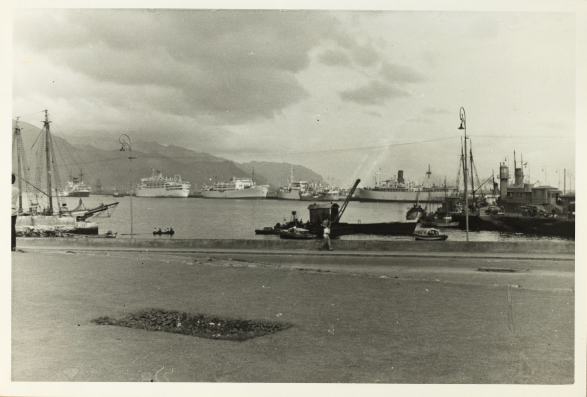 Havn, antagelig i Santa Cruz de Tenerife. Fotografert under et cruise i 1953.