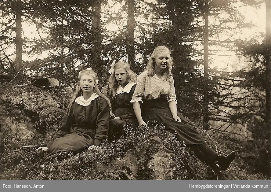 Tre flickor på en sten.
Fröderyds Hembygdsförening