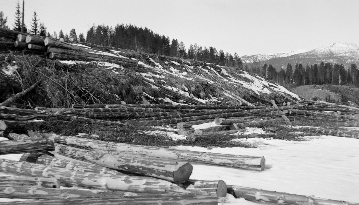 Utislag av tømmer på et is- og snødekt elveleie.  Fotografiet er tatt på vesida av Glomma nedenfor Evenstad i Stor-Elvdal våren 1932.  I forgrunnen ligger en del virke dels langsmed, dels på tvers av strømretningen.  Til venstre i bildet en bakkekam uten tre- eller buskvegetasjon.  På denne bakkekammen ligger det fortsatt en del tømmer parallelt med strømretningen, som ennå ikke er utislått.  I bakgrunnen barskog. 