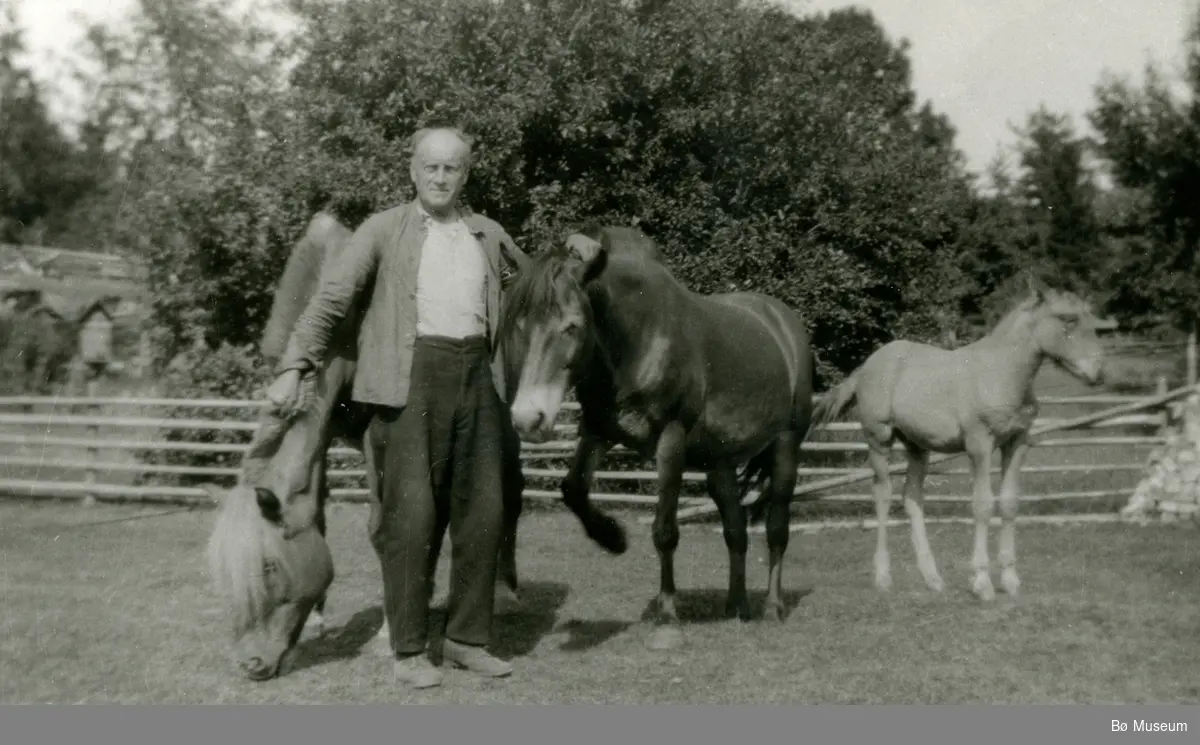 Gunnar Myhre med hestane sine, ca. 1934