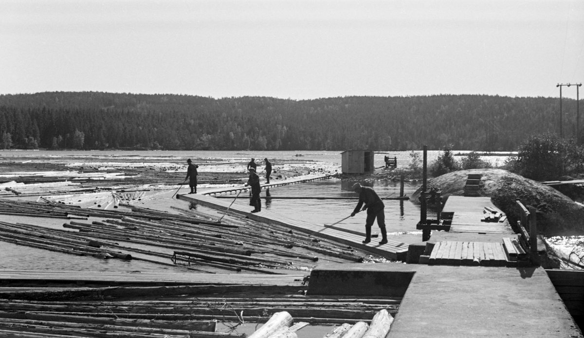 Tur til Haldenvassdraget 20/8 1956. Dam. Tømmer. Fløtere i arbeid. Bønsdammen ved utløpet av innsjøen Mjelmen.