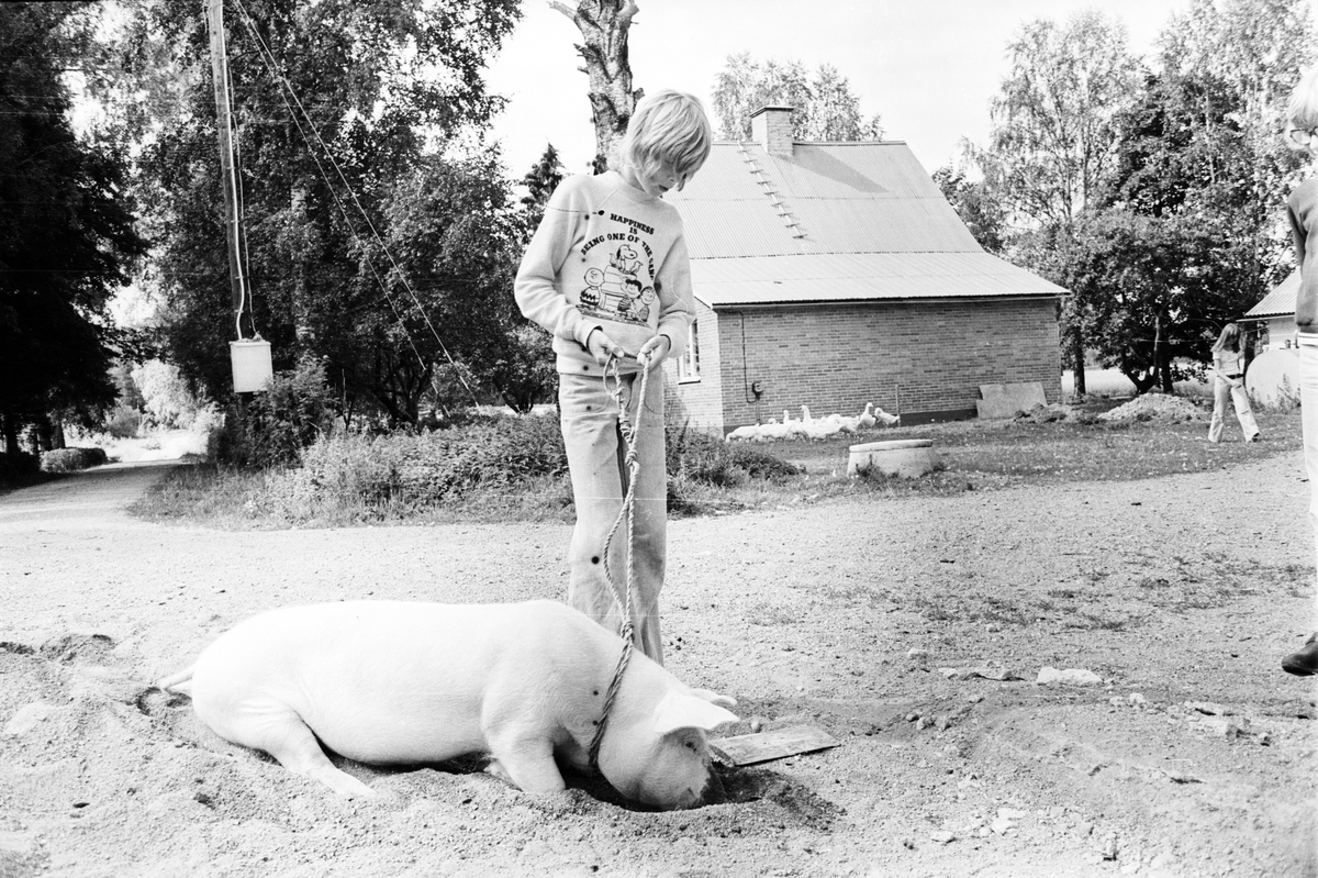 4H:s kursgård i Bäcksäter, Uppland 1973