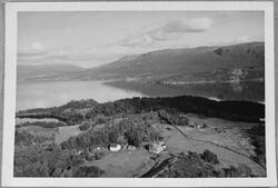 Landskap frå Romsa med utsikt mot nordaust, 1950. Garden er 