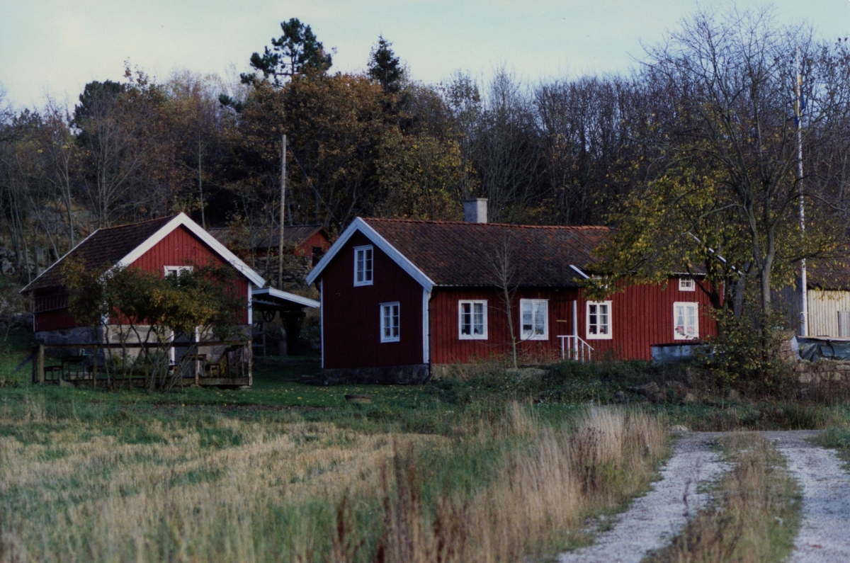 Hembygdsgården Långåker 1:3, cirka 1980 - 1985. Källarvinden ses till vänster.