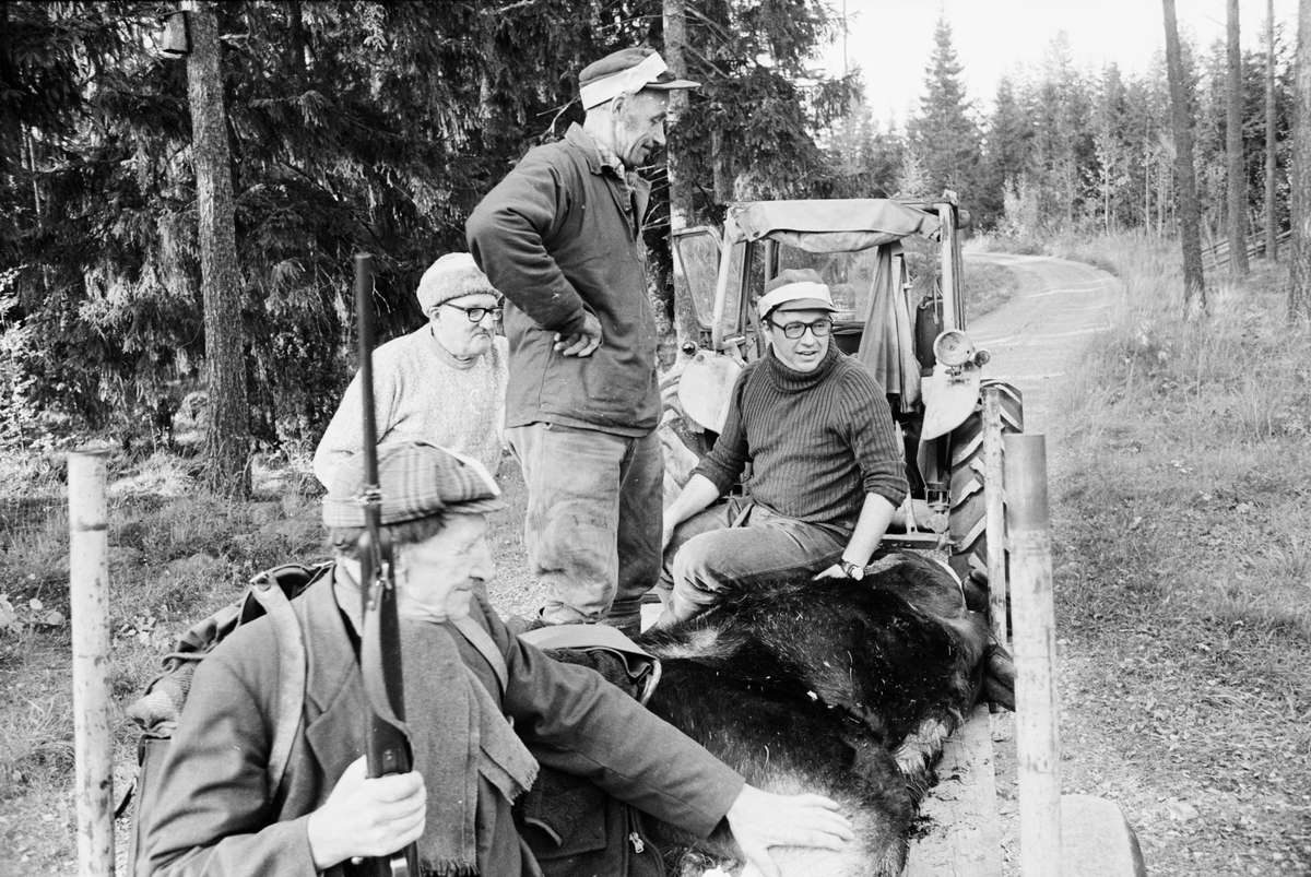 Jägarna Emil Frisk, Gösta Eriksson, Bernhard Lindkvist och Johnny Sehlander på traktorkärran med den tiotaggade älg som fälldes nära Svartmuren, Sevalbo, Gästrikland