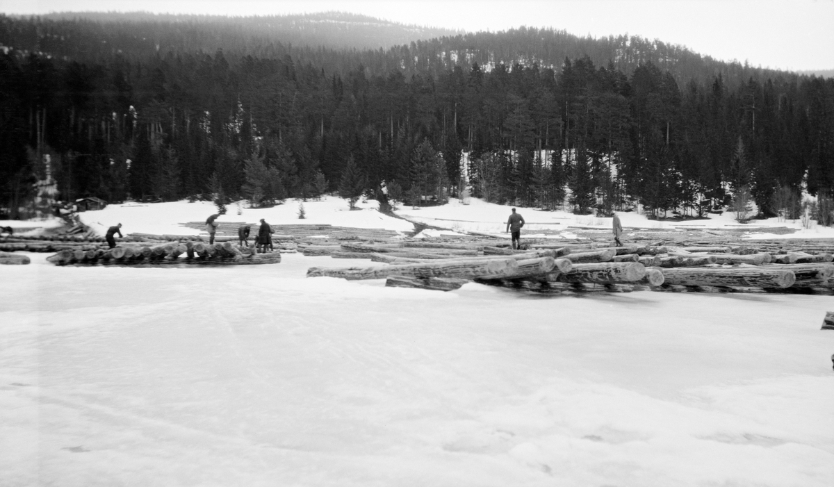 Tømmermerking av islagt tømmer på Storsjøen i Rendalen våren 1928.  Fotografiet er tatt ved Sjøli, lengst sør i sjøen.  Det barkete virket er lagt ut i ettlags floer med underliggende tverrstokker på isen.  Da fotografiet ble tatt var ett merkerlag i arbeid med merkeøkser og stikkbøker til venstre i bildet.  Til sammen er det seks-sju menn ute på isen.  I bakgrunnen ses to-tre tømmerveger ned mot isen som mørke striper i det ellers snødekte landskapet.  Ved den «venstre» vegen skimtes ei koie.  I bakgrunnen barskogkledde lier og berg.