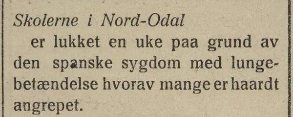 Indlandsposten, 25. oktober 1918