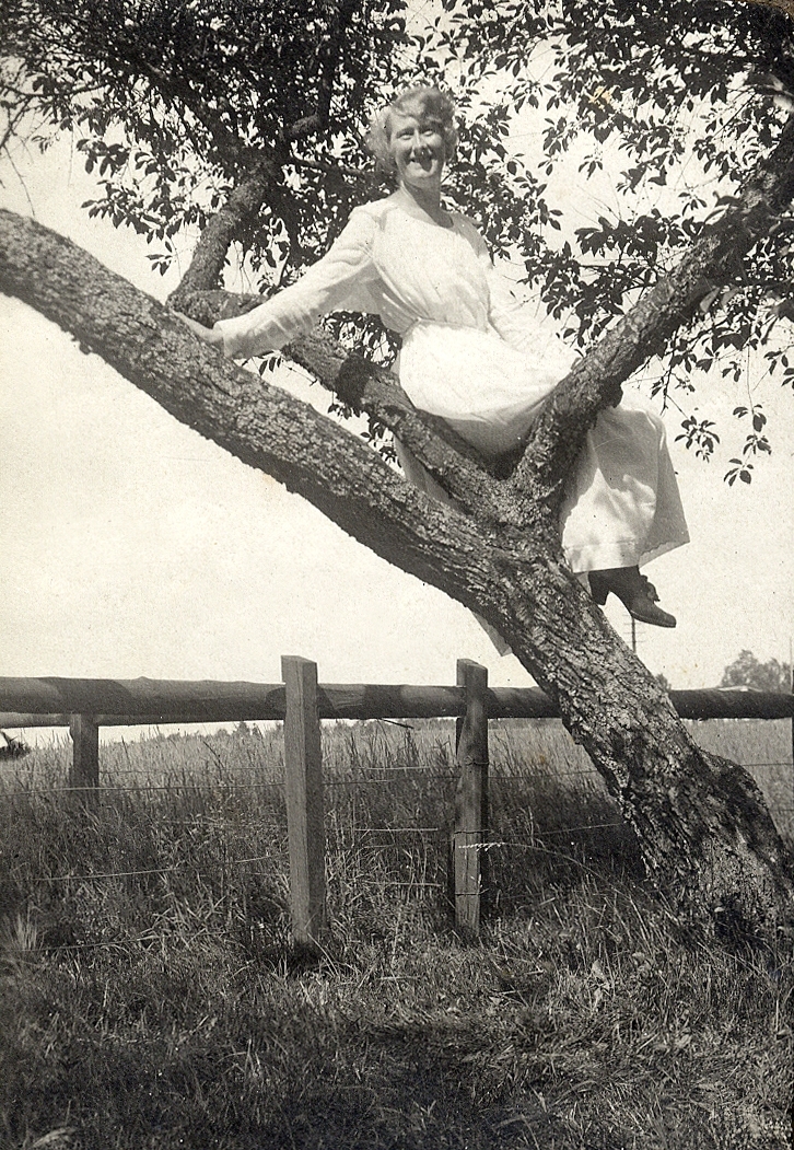 En kvinna i ljus klänning sitter uppflugen i ett plommonträd.