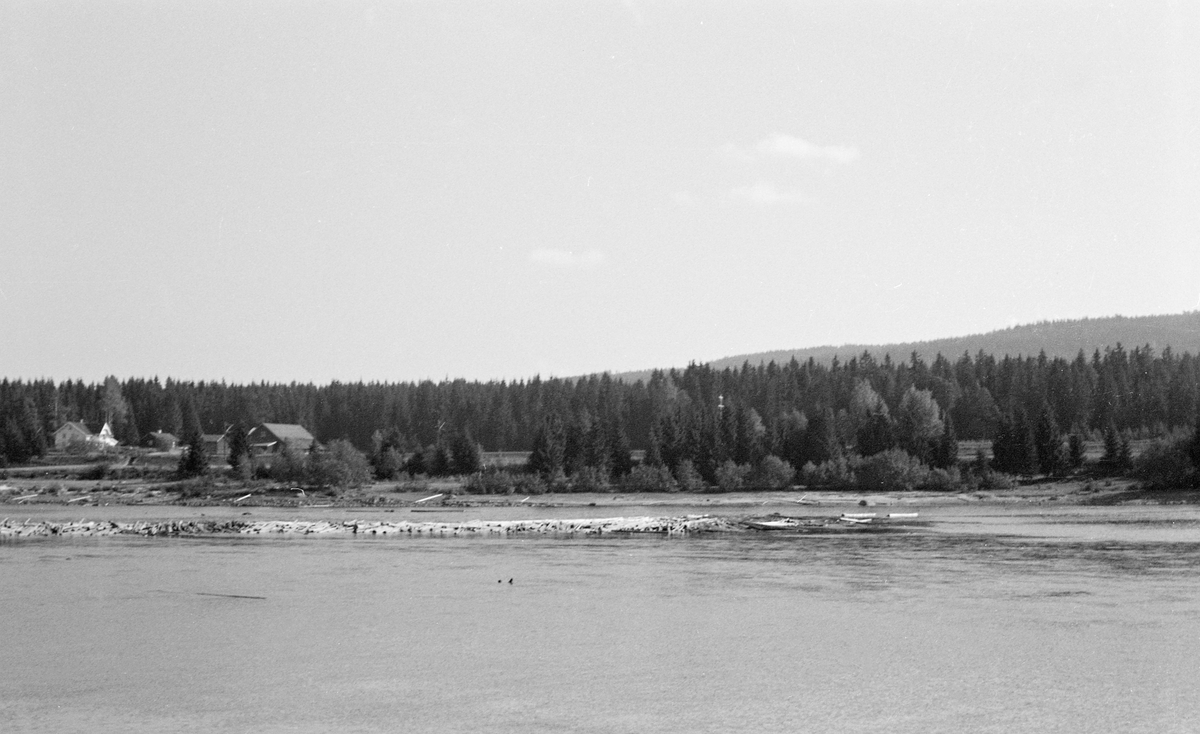 Fløtingstømmer som hadde strandet på grunner i Glomma ved Kongsrud i Sør-Odal kommune i 1959. Dette var et vanskelig fløtingsår. Snømengden i vintersesongen var riktignok over det normale. Et væromslag i slutten av april førte til en brå flom, som skapte problemer i flere av tverrelvene, der vannmassene ødela forbygninger og førte fløtingsvirket over elvebreddene og inn i tilstøtende skog. En kjølig periode i begynnelsen av mai fikk flommen til å kulminere tidlig. Og ettersom 1959 fikk en tørkesommer av de sjeldne, måtte fløtinga i hovedvassdraget gjennomføres med stadig synkende vannføring. Litt utpå sommeren rant det ikke mer enn 80 kubikkmeter i sekundet ved Kongsvinger, noe som er meget beskjedent med tanke på hvor stor Glomma egentlig er der. Lite vann og beskjeden strømhastighet gjorde fløtinga arbeidskrevende. Fløterne måtte handtere store mengder tømmer som hopet seg opp i grunne og stilleflytende deler av elveløpet, blant annet på strekningen mellom Kongsvinger og Fulufjorden, noe dette bildet illustrerer.