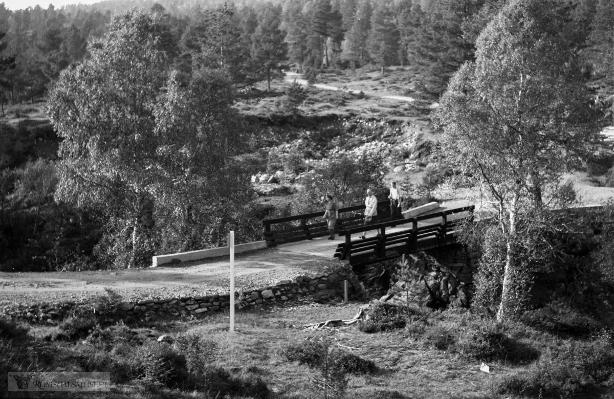 "Bergsbakk".Fjellbrua, ved Fjellbrudammen, Vardevegen.
